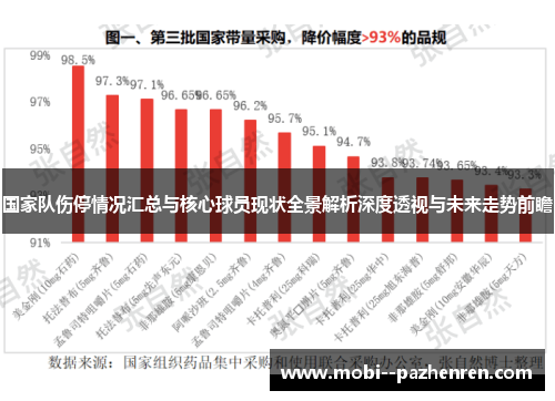 国家队伤停情况汇总与核心球员现状全景解析深度透视与未来走势前瞻
