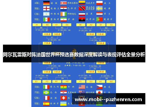 阿尔瓦雷斯对阵法国世界杯预选赛数据深度解读与表现评估全景分析
